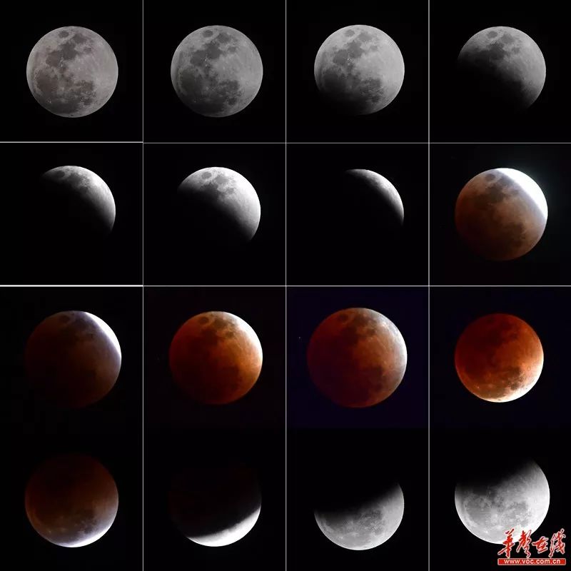1月31日晚,长沙市上空拍摄的"超级月亮 蓝月亮 红月亮"(拼合图片)