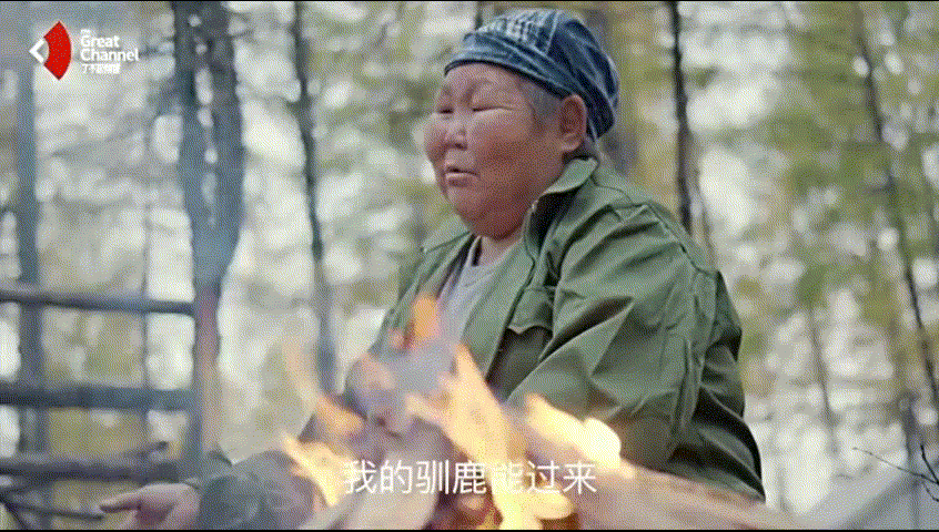 柳霞坐在烟堆边，忍受着白烟的熏撩，一声声的呼喊着自家的鹿群。