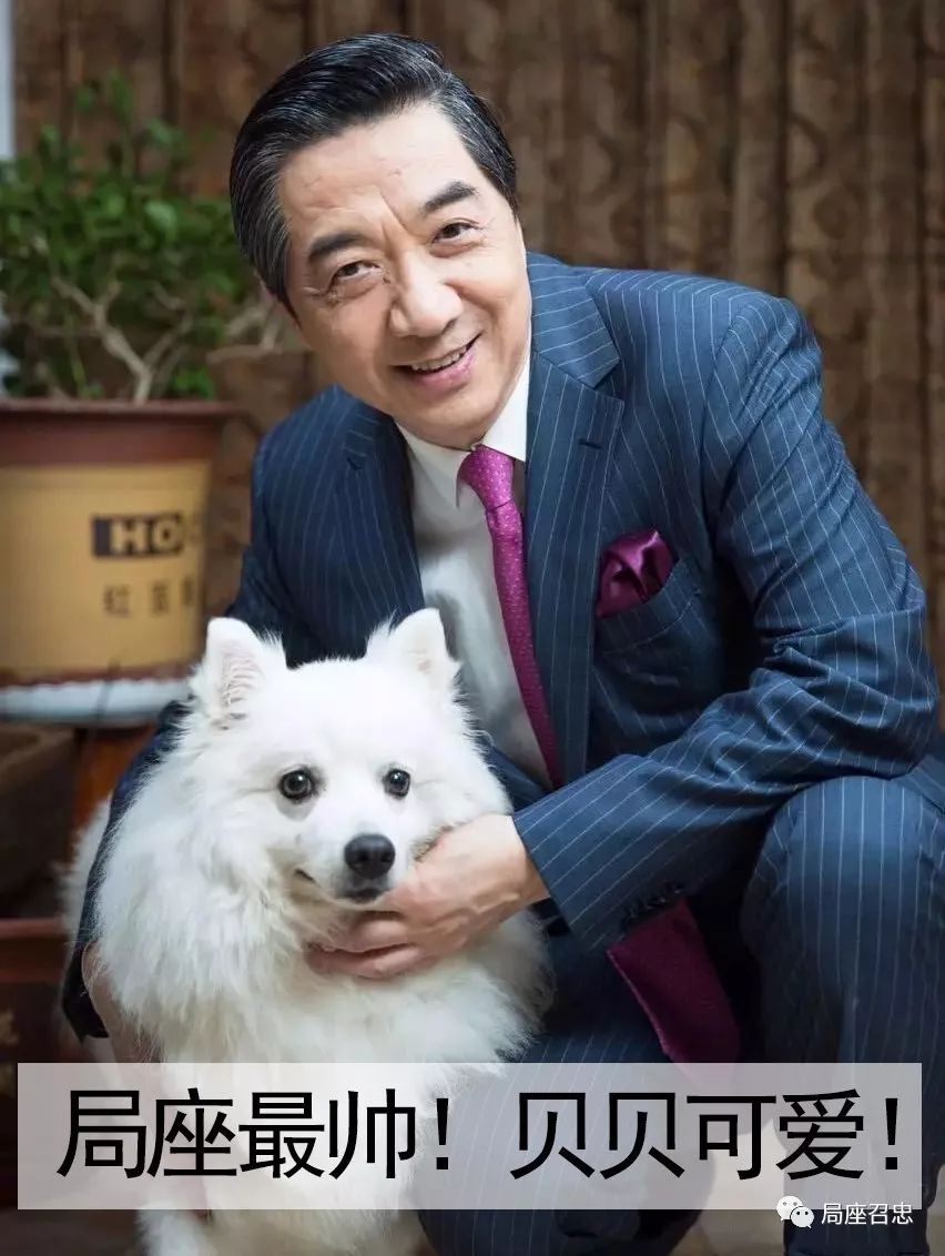 狗年话狗,越过越有,盘点军事运用中的那些"犬兵犬将"