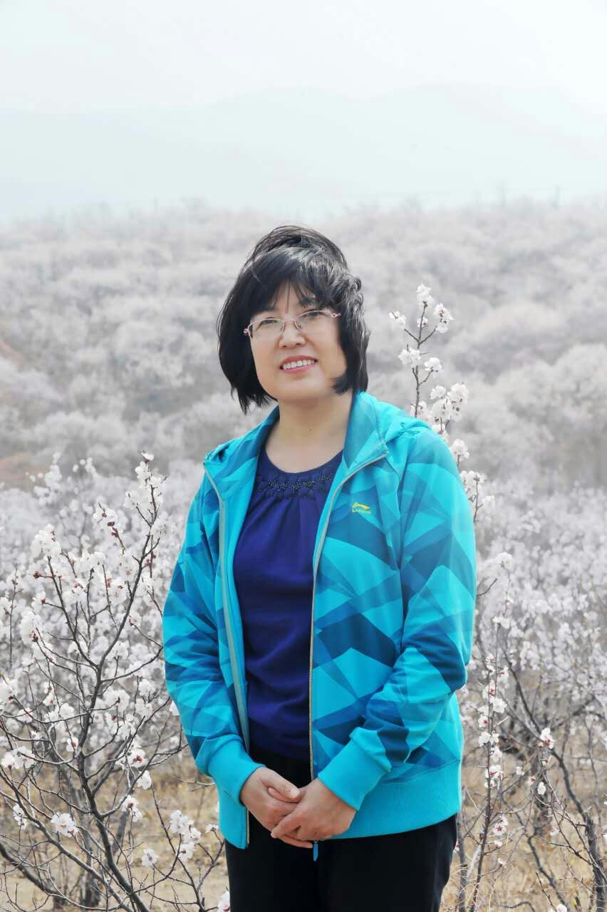 葫芦岛晚报常务副总 王岩"一城一园 公益落葬"公益心,挚诚心