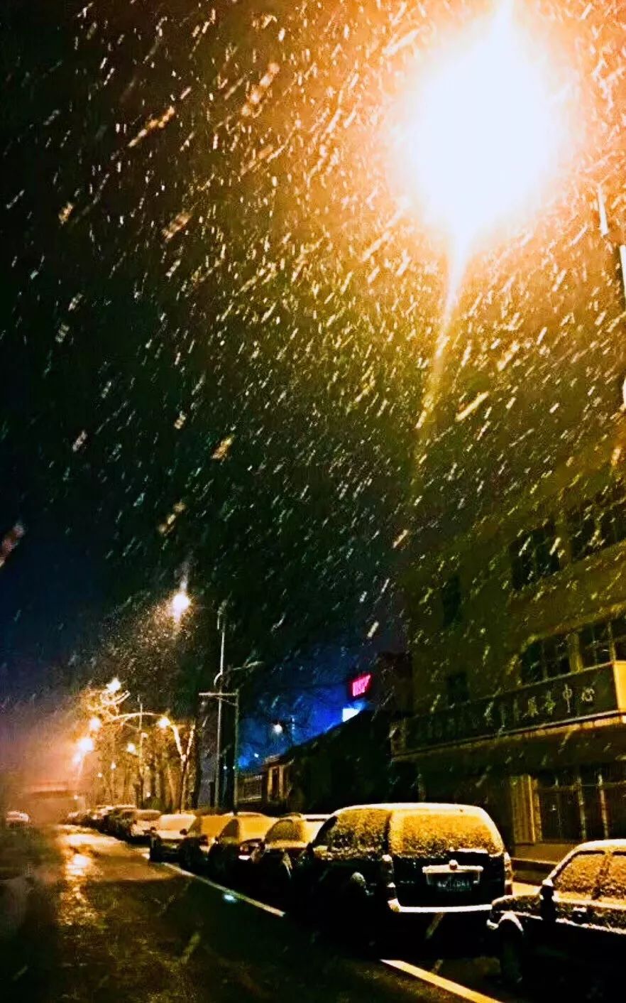 一雪前耻07毫米的雪朋友圈硬是晒成了林海雪原下得小架不住青岛颜值高