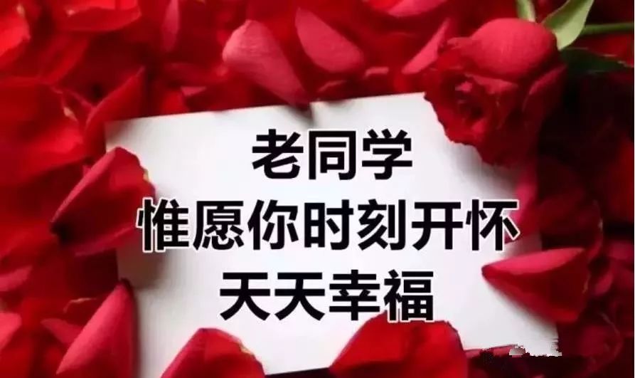 2018最新老同学相册送给所有亲爱的老同学请查收