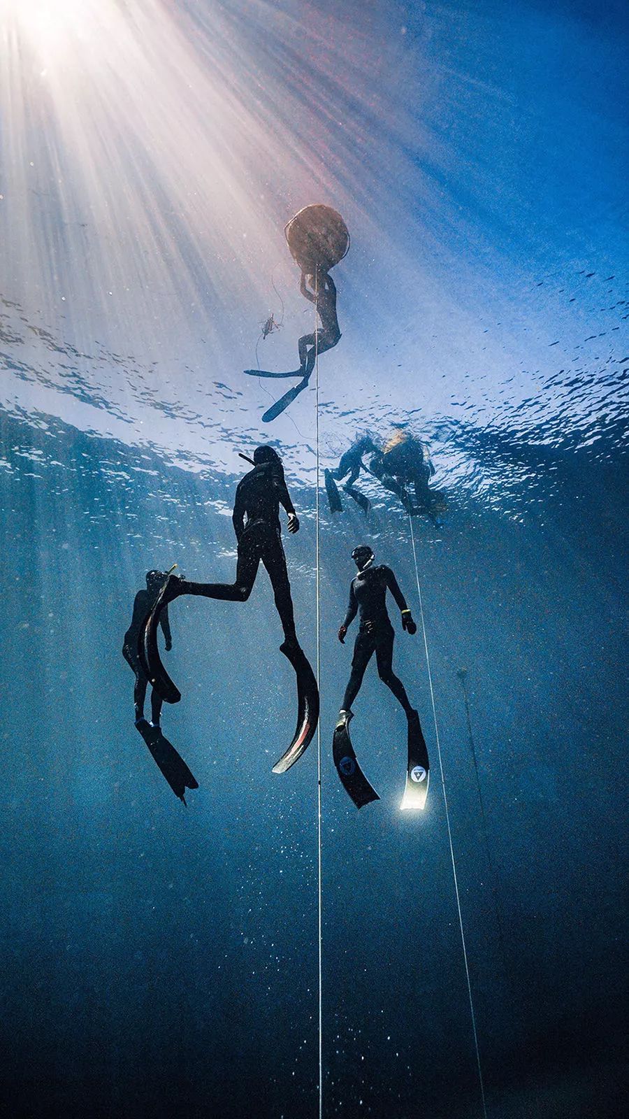 水下潜水美人鱼模式,这些姿势收藏了