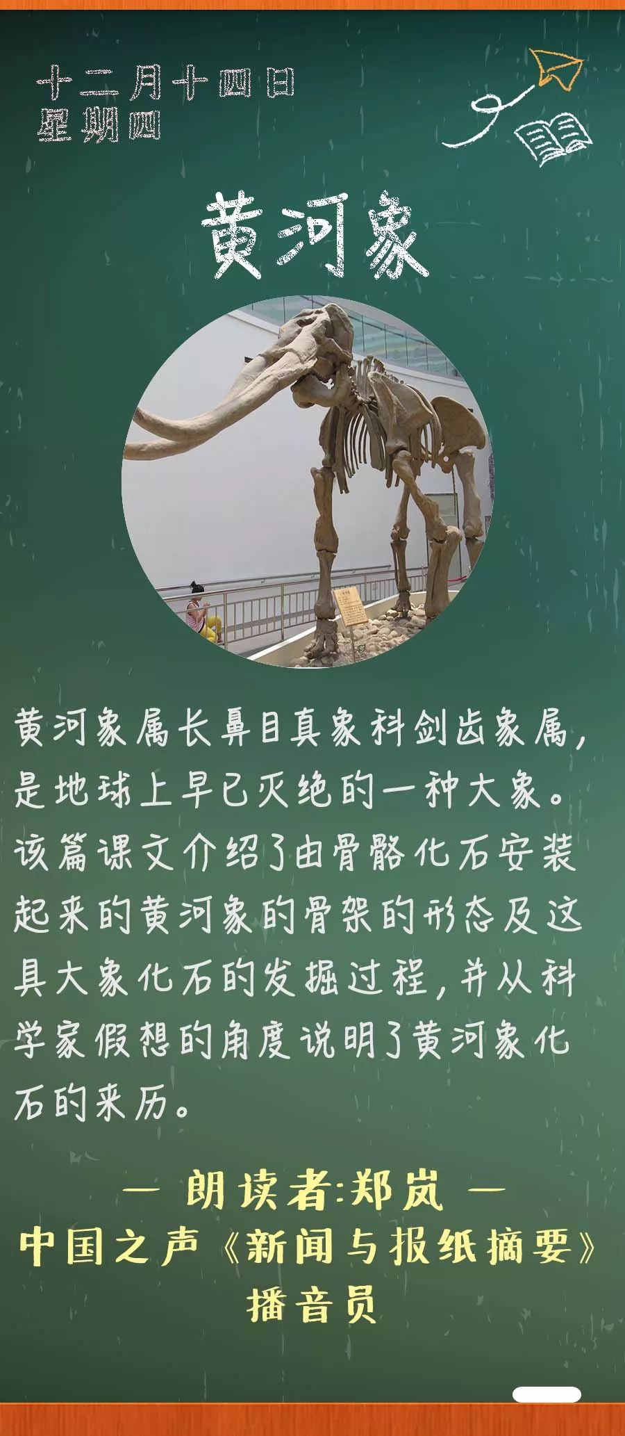 《黄河象》丨那些年,我们一起读过的课文