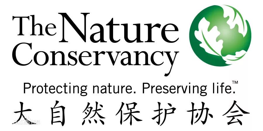 2018新浪汽车年度盛典引领公益浪潮