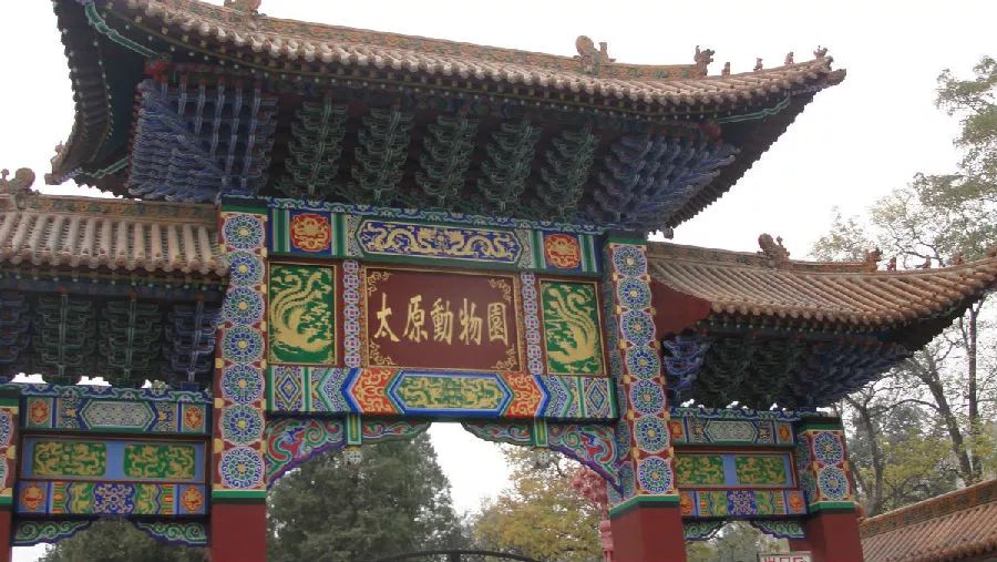 太原动物园1019个新建停车位本周六启用屋顶直接购票