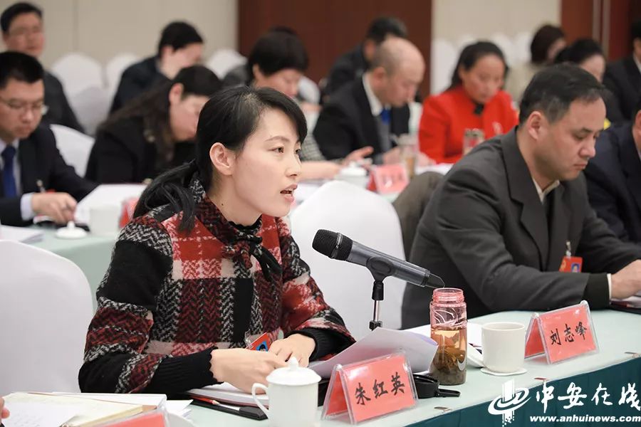 组图2018安徽省两会剪影