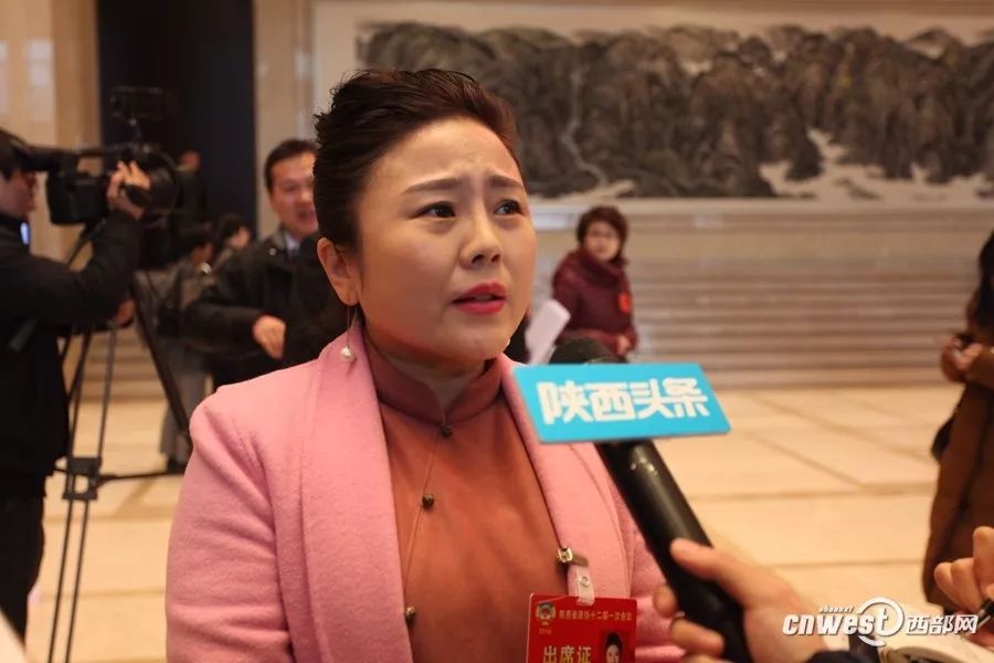 省政协委员热议两个报告愿为陕西发展建言献策