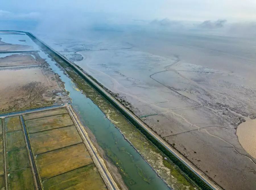 填海围垦下湿地变"失地"