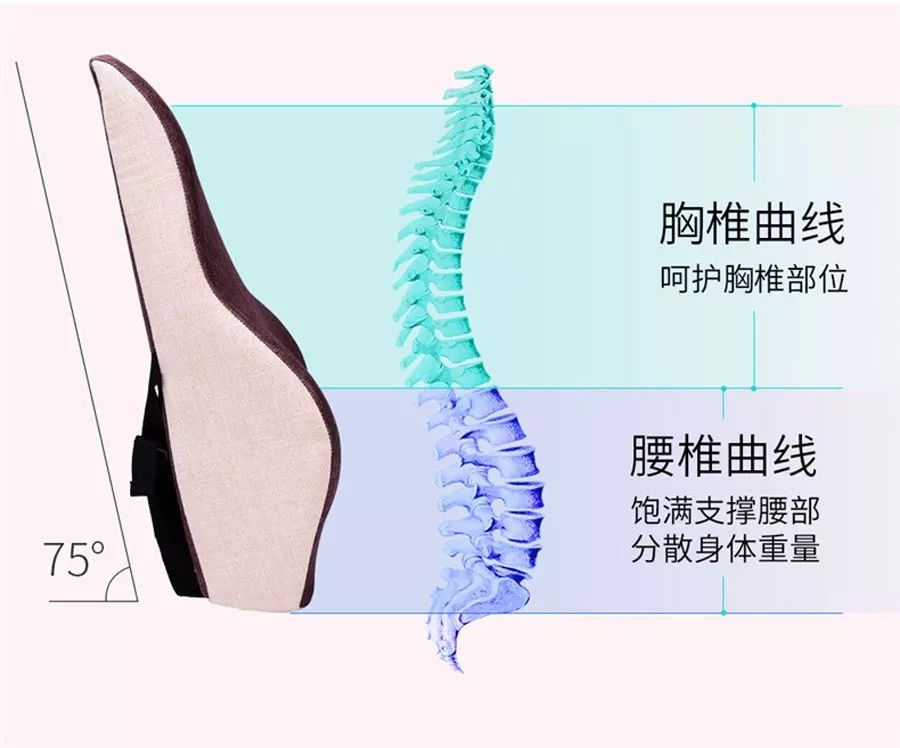 从侧面看,腰靠从下往上是成一个75°的斜角,腰部厚,背部薄,这样的角度