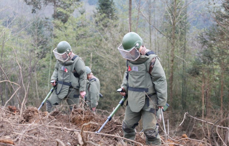如果提前知道要面对雷场,你是否有勇气前来|雷场|排雷|战士_新浪新闻