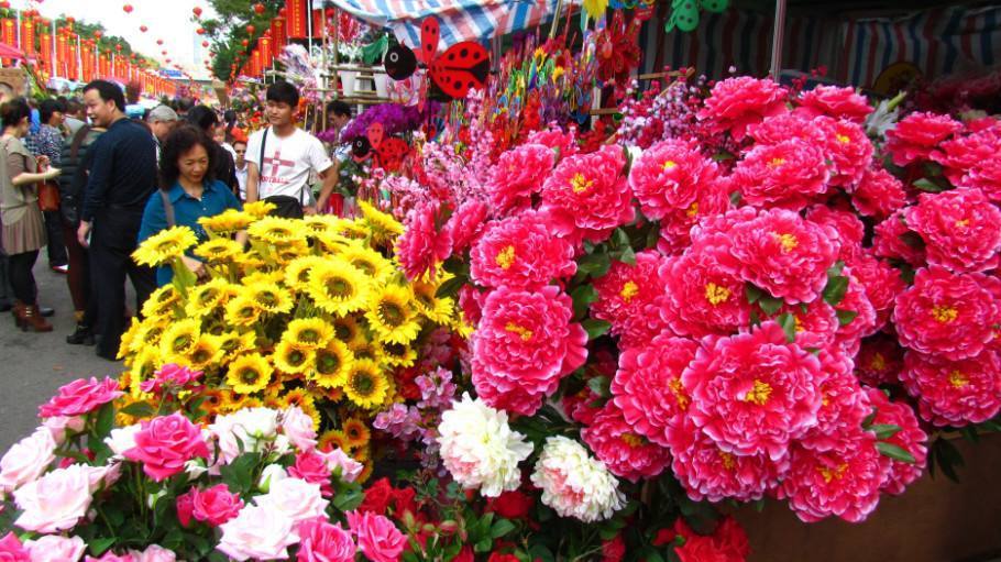 深圳今起气温回升广东各色花市等你来赏千万别错过