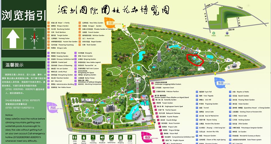 寒冬腊月这儿的花竟如此娇艳醉美深圳花海来啦