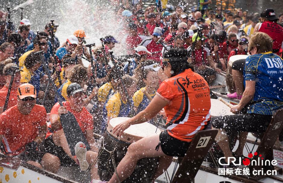 南半球最大规模龙舟竞赛在悉尼拉开帷幕