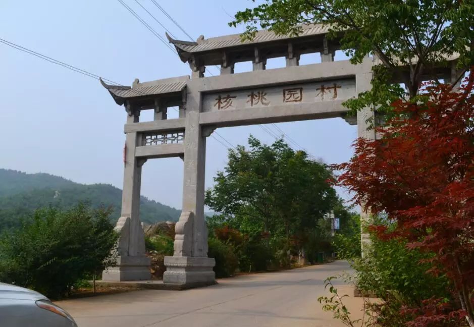 核桃产地多番苦寻深入济南"后花园"南部山区阅"货"无数的小编齐鲁优品