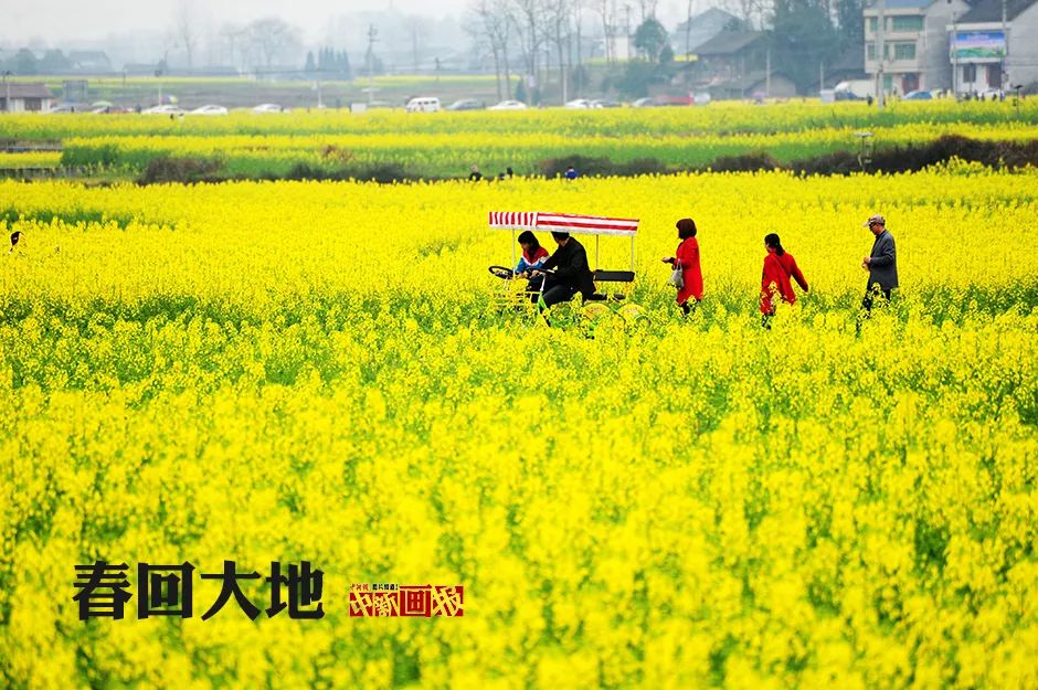 今日立春一年最美好的开始