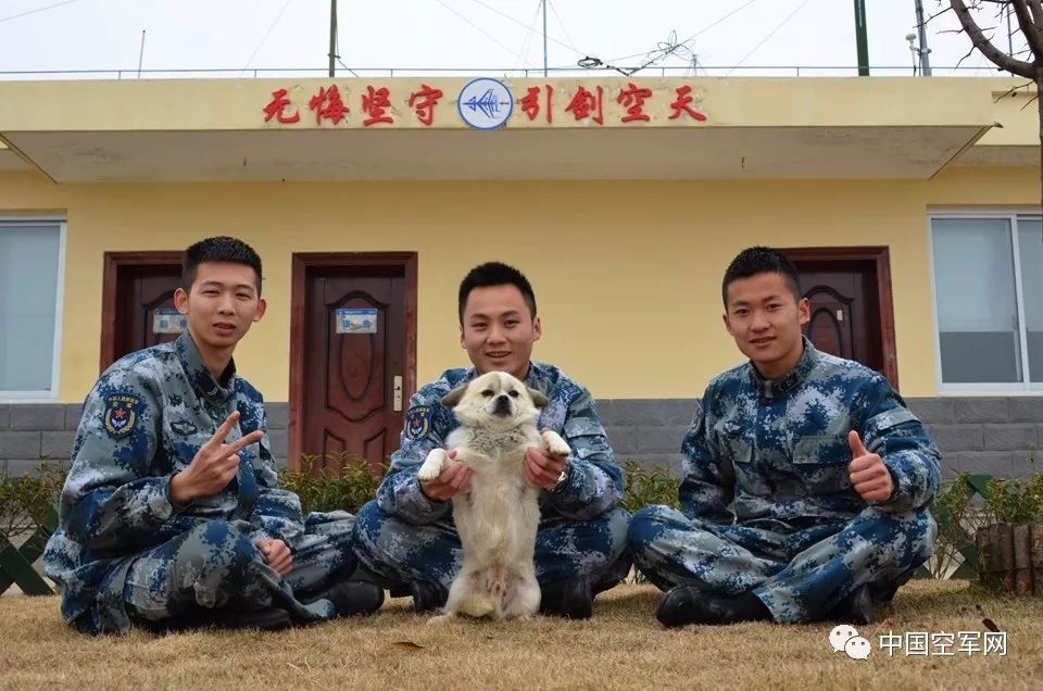 狗年话军犬|精准看衣识人,听声辨物?没错,它叫小白