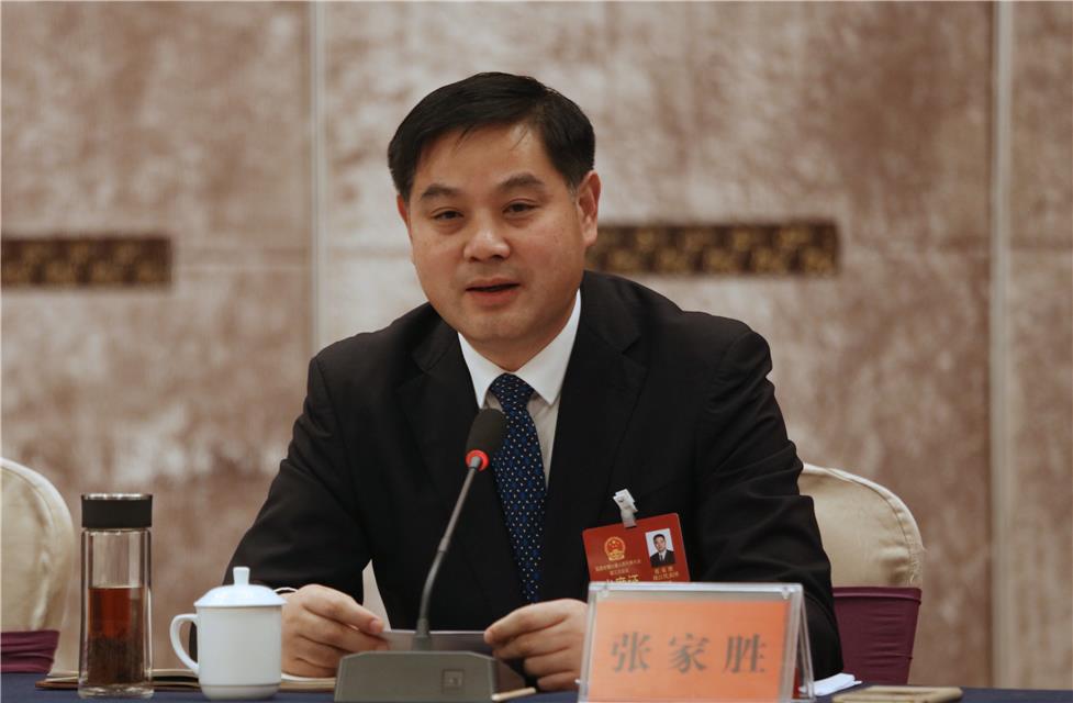 张家胜代表:创新引领高质量发展