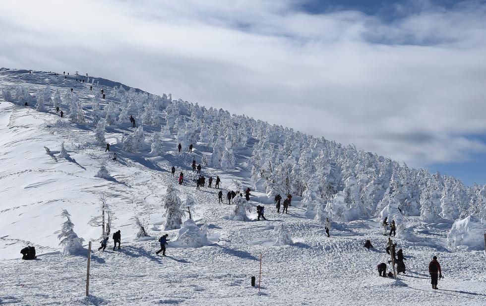 日本山形县雾凇森林浪漫来袭 宛若置身仙境