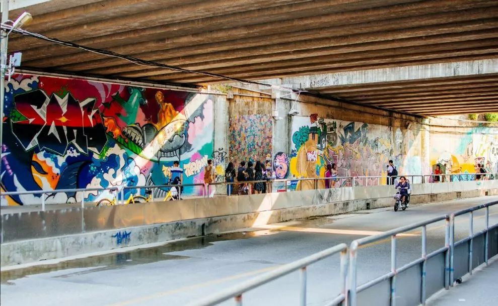 华农涂鸦隧道要说再见?后会有期!