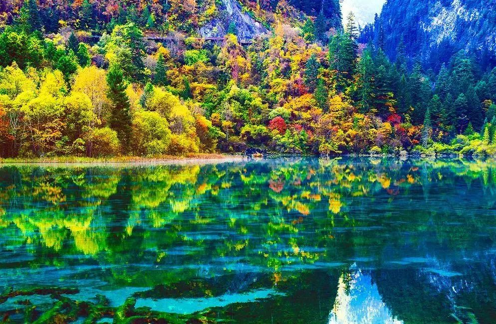 九寨沟现出现六绝之一—蓝冰奇观!美如童话