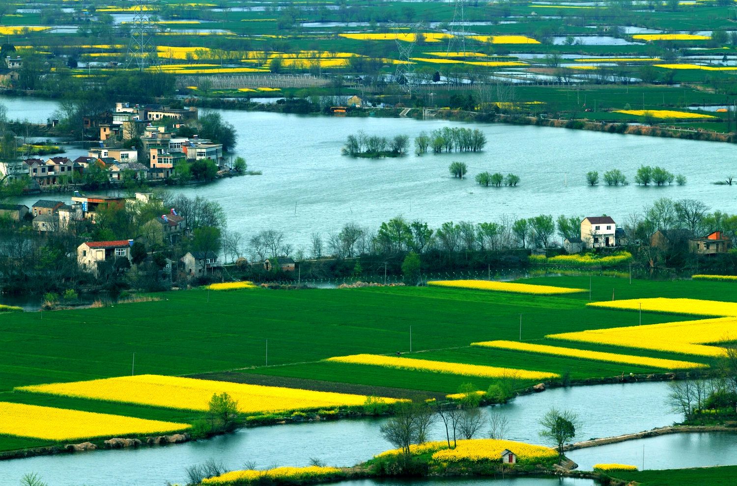 油彩峨桥 诚意相邀