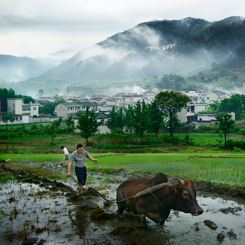 山花烂漫自在绩溪乡村旅游节路线图出炉
