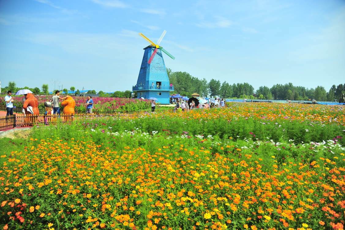 天鸣花海二期开园 庐江再添赏花胜地_新浪旅游_新浪网
