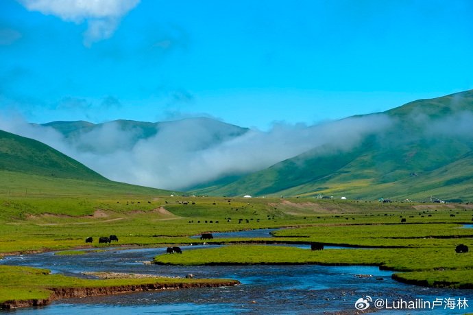 去果洛邂逅无垠草原