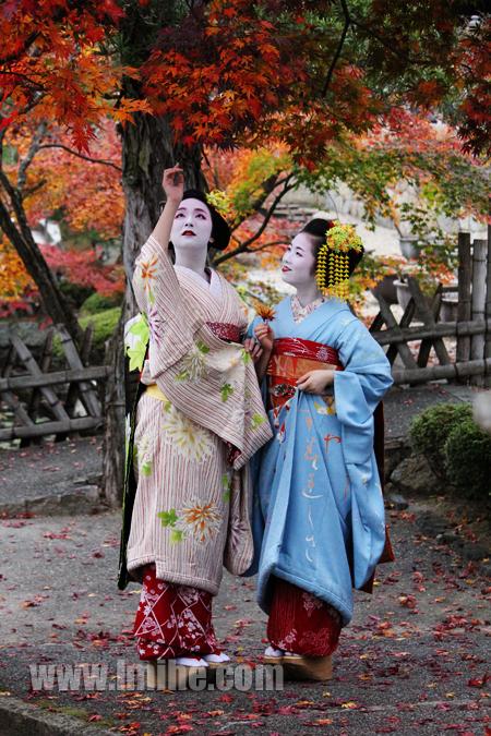 日本京都舞妓摄影记