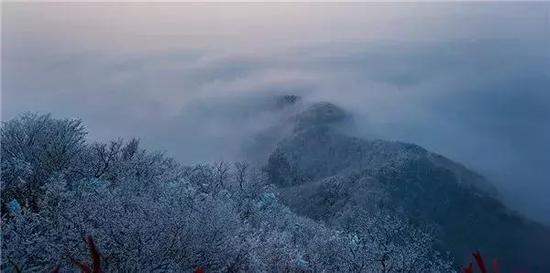云台山年终福利大派送！