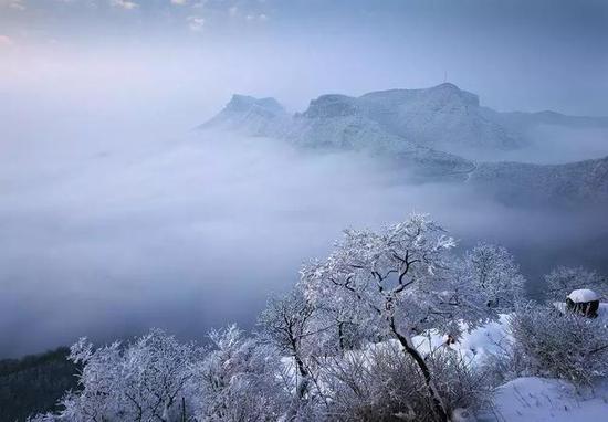 云台山年终福利大派送！