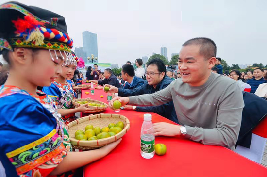 现场派送石门柑橘品尝