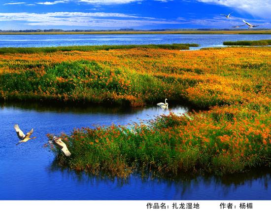 扎龙湿地气候图片