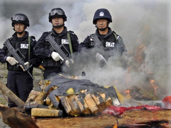 大理州公安局禁毒支队工作掠影利剑出鞘斩毒魔