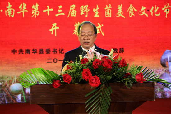 中国南华第十三届野生菌美食文化节正式开幕 将着力打