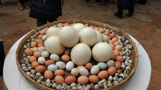 圣诞节 到云南野生动物园跟动物一起过节_新浪旅游_新浪网