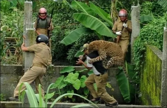 那些死亡前一刻拍下的照片没一个人敢看到最后