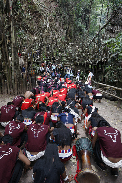 春节期间,可选择上景迈山,看千年万亩人工栽培型古茶林,品布朗族的烤