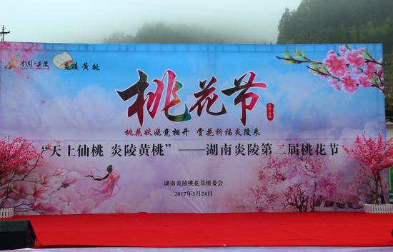 天上仙桃炎陵黄桃湖南炎陵第二届桃花节盛大开幕