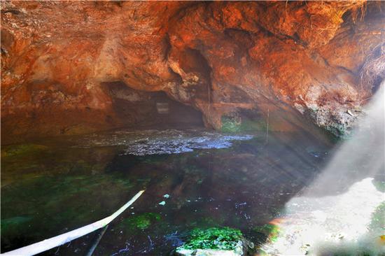 蛇王洞 天犬照镜图在往前走就进入到十二生肖景观区,穿过一个迂回曲折
