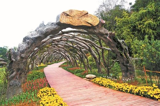 图:广西药用植物园 供图:南宁旅发委
