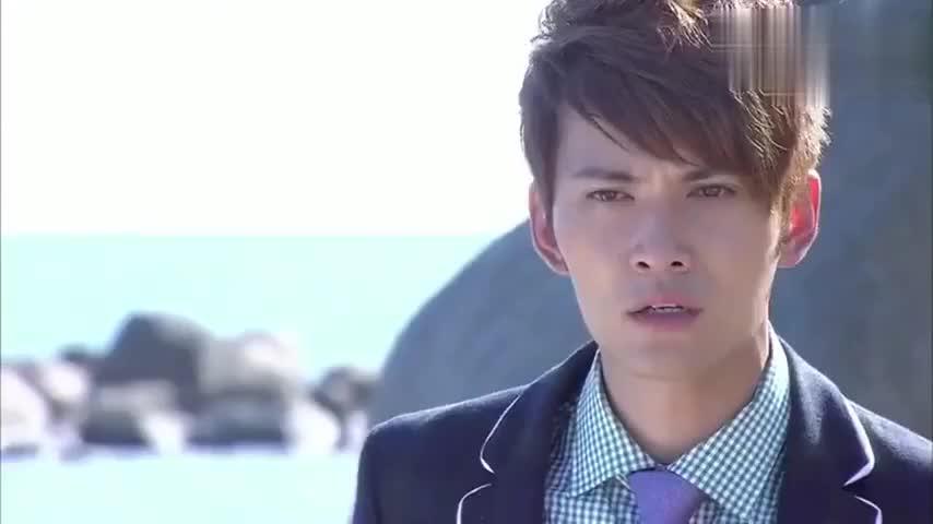 季如风找到失忆后的项天骐,得知项天骐爱上刘小贝!