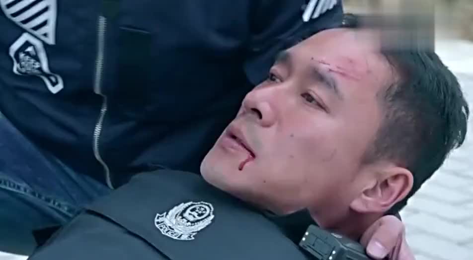 警花与警犬:主人被毒贩撞倒,下一秒天狼就冲出去抓犯人,感动!