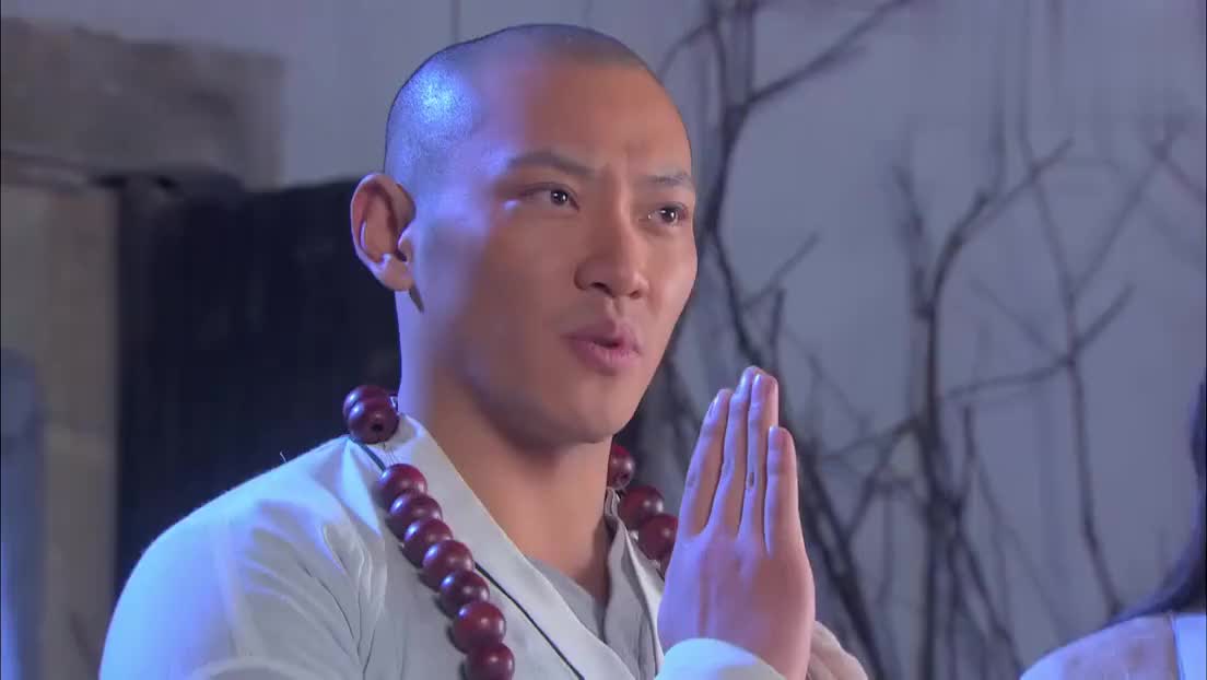 大师再次找到蜘蛛精,大师降妖除魔收服蜘蛛!