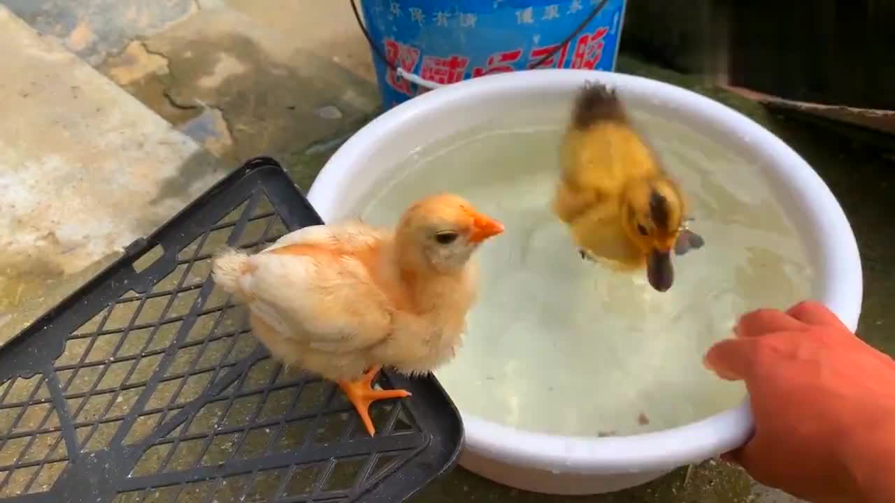 app打开