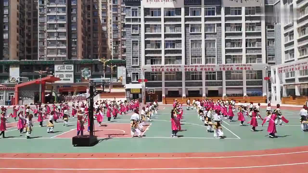 三尺讲台 一片冰心——乐从红棉小学教师张宗阳侧记