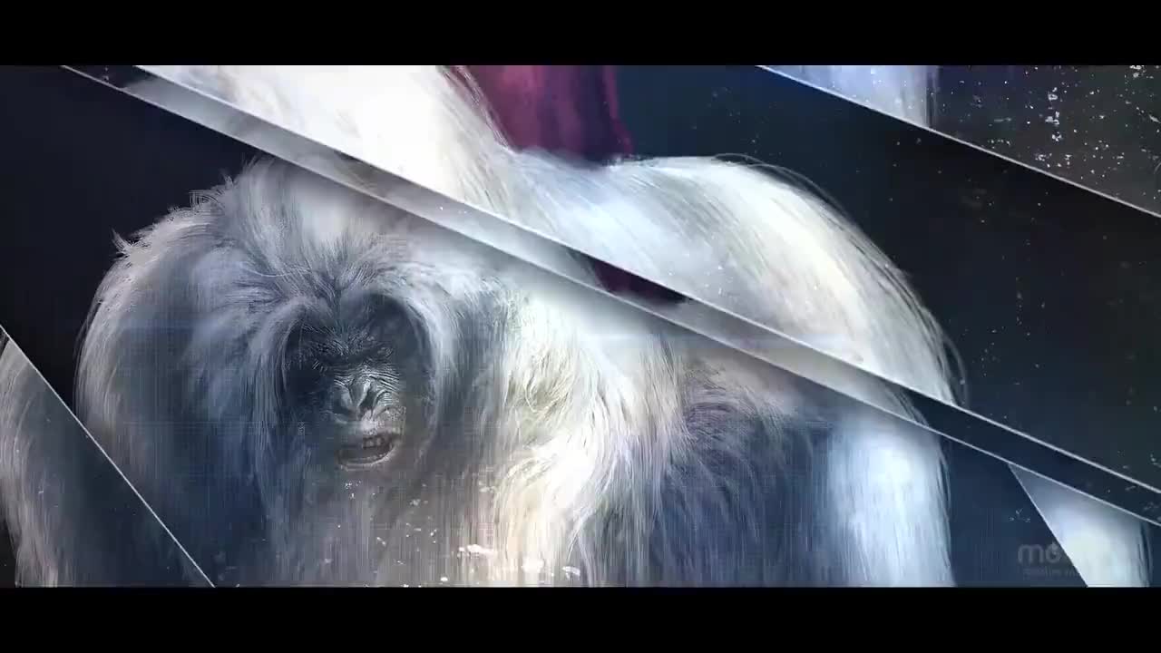 6分钟看《鬼马智多星》:徐克首获大奖的影片,可惜看过的人不多