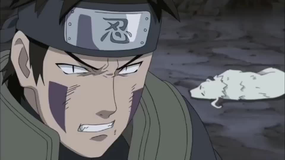 火影:牙和志乃将计就计,把变成雏田的白绝骗了出来