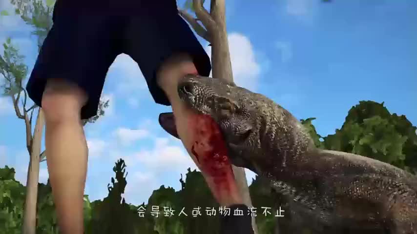 大自然:科莫多巨蜥vs老虎,究竟谁更厉害?巨蜥:你最好少招惹我